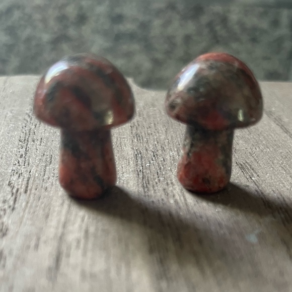 Unakite mushroom tumbled stone - Picture 3 of 5